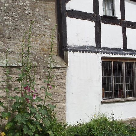 Walford Court Bed and Breakfast Leintwardine Esterno foto