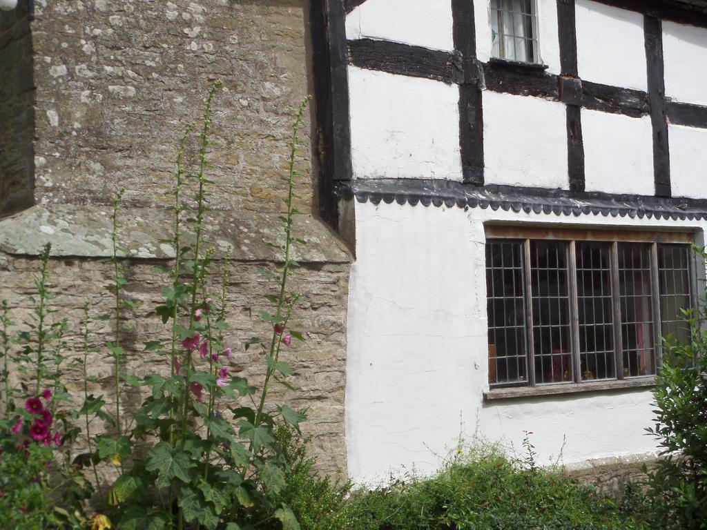 Walford Court Bed and Breakfast Leintwardine Esterno foto